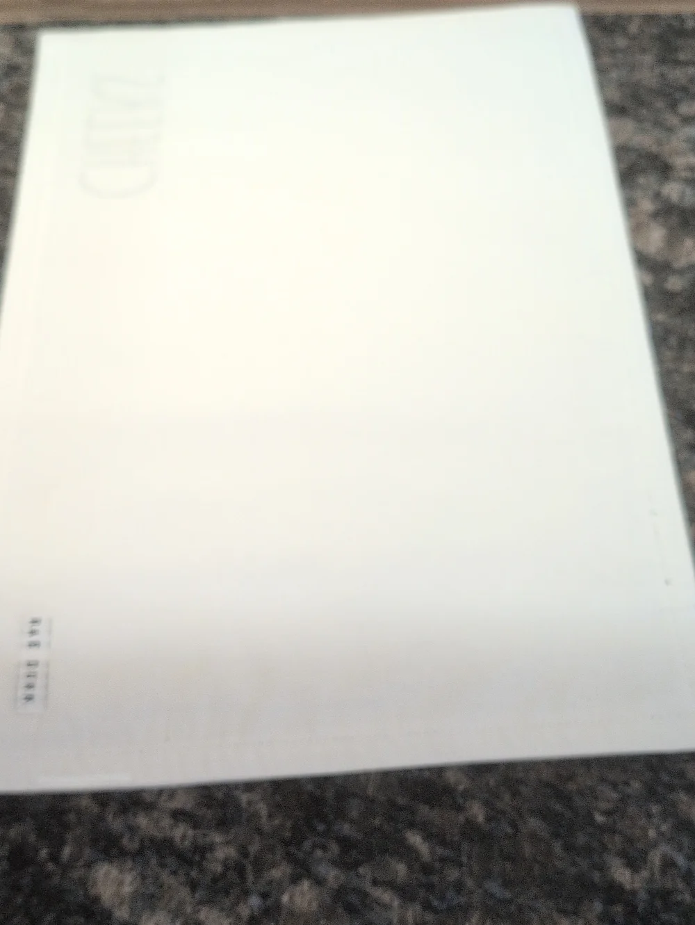 Rae Dunn White Placemats with Black Logo Tag.Set of 4